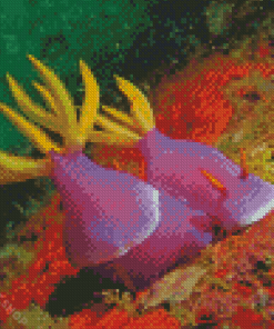 Purple Yellow Sea Slug Diamond Paintings