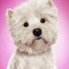 The West Highland Terrier Dog Diamond Paintings