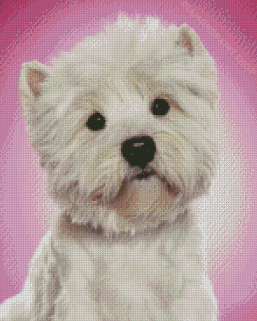 The West Highland Terrier Dog Diamond Paintings