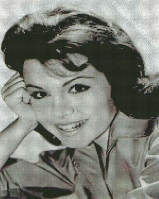 Actress Annette Funicello Diamond Paintings