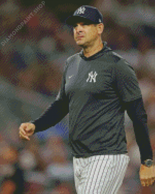 Basebal Manager Aaron Boone Diamond Paintings