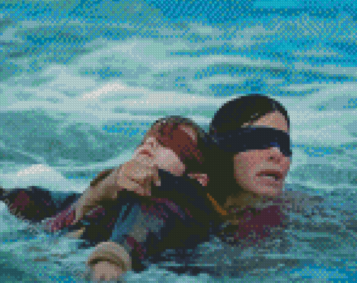 Bird Box Horror Movie Diamond Paintings