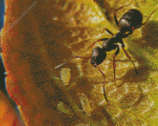 Black Garden Ant Diamond Paintings