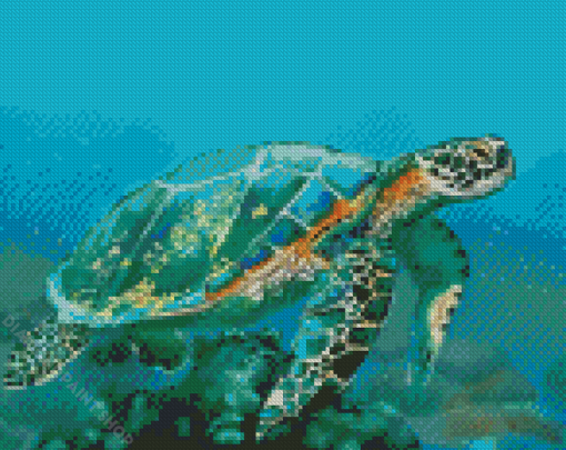 Blue Turtle Diamond Paintings