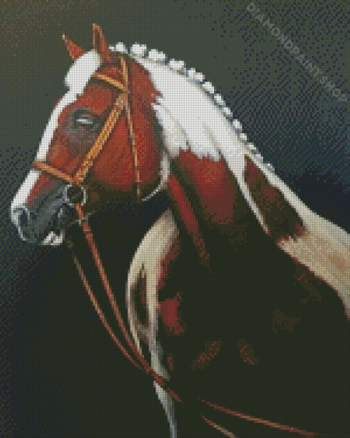 Brown And White Horse Art Diamond Paintings