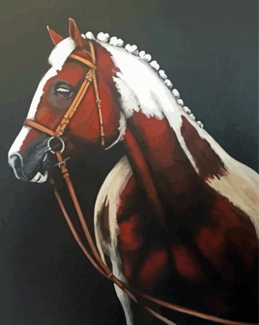 Brown And White Horse Art Diamond Paintings