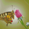 Butterfly And Pink Rose Diamond Paintings