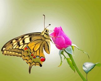 Butterfly And Pink Rose Diamond Paintings