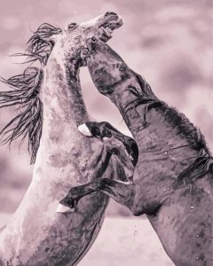 Fighting Horses Diamond Paintings