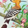 Hoopoe Bird Art Diamond Paintings