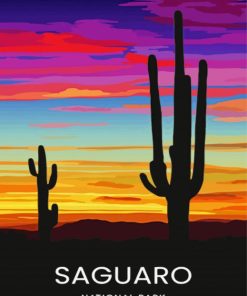 Sunset Saguaro National Park Art Diamond Paintings