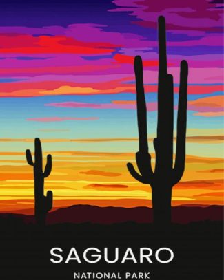 Sunset Saguaro National Park Art Diamond Paintings