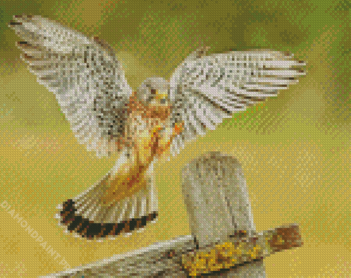The American Kestrel Bird Diamond Paintings