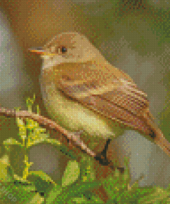 The Flycatcher Bird Diamond Paintings