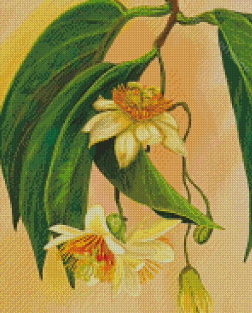 The Passionflower Diamond Painting