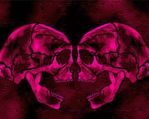 Two Pink Skulls Diamond Paintings