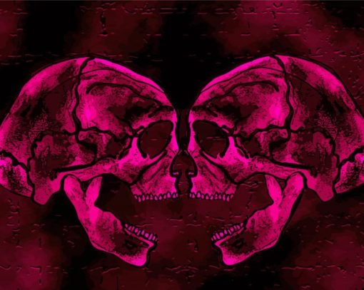 Two Pink Skulls Diamond Paintings