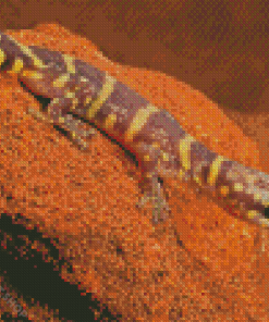 Wild Desert Gecko Diamond Paintings