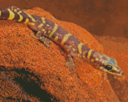 Wild Desert Gecko Diamond Paintings