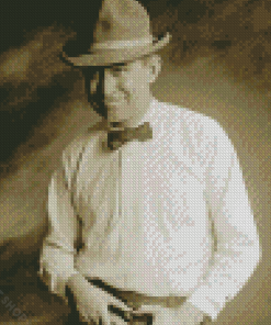 Will Rogers Actor Diamond Paintings
