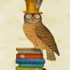 Wise Owl Bird On Books Diamond Paintings