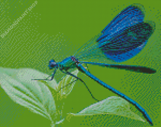 Aesthetic Blue Dragonfly Insect Diamond Paintings