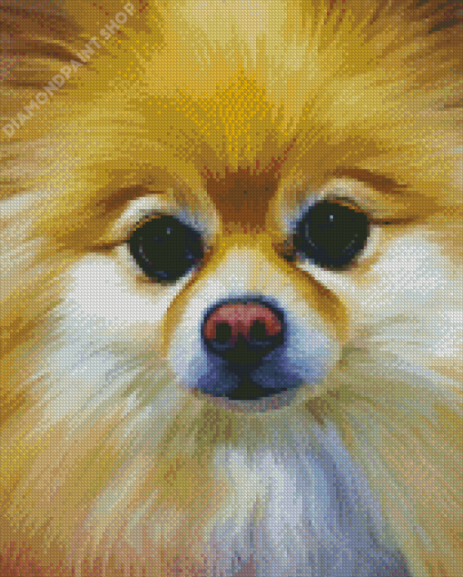 Aesthetic Pomchi Dog Diamond Paintings