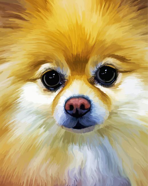 Aesthetic Pomchi Dog - Diamond Paintings 