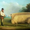 Aesthetic Sheep Farmer Diamond Paintings