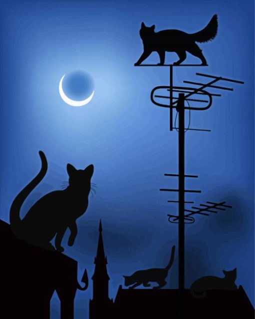 Cats OnThe Roofs In The Night Diamond Paintings