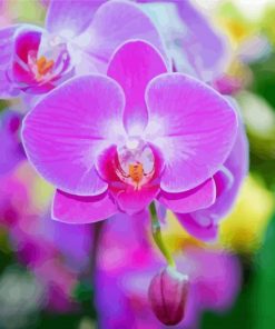 Cool Pink Orchid Diamond Paintings