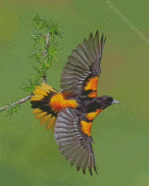 Flying Baltimore Oriole Diamond Paintings