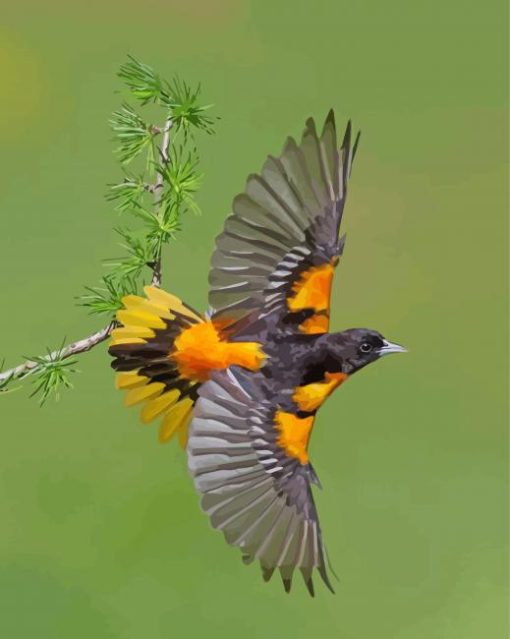 Flying Baltimore Oriole Diamond Paintings