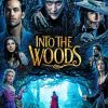 Into The Woods Poster Diamond Paintings