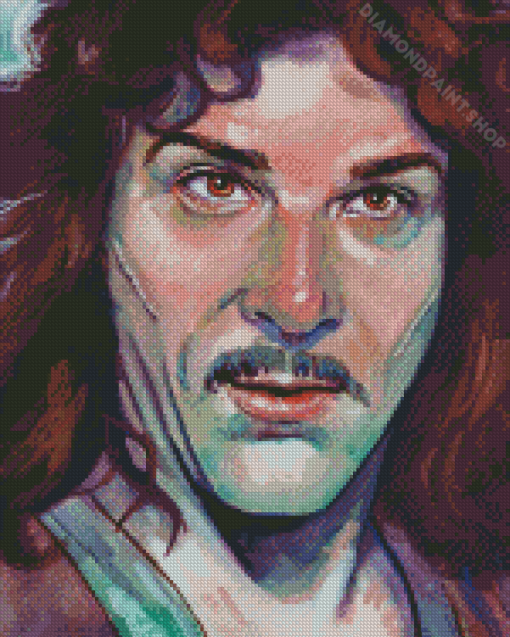 Aesthetic Inigo Montoya Illustration Diamond Paintings