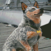 Australian Cattle Dog Sitting Diamond Paintings