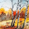 Birch Trees Forest Diamond Paintings