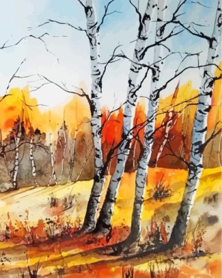 Birch Trees Forest Diamond Paintings