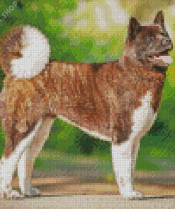 Brown American Akita Dog Diamond Paintings
