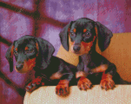 Dachshund Miniature Puppies Diamond Paintings