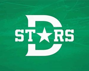 Dallas Stars Club Logo Diamond Paintings