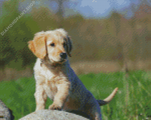 Golden Puppy On Rock Diamond Paintings