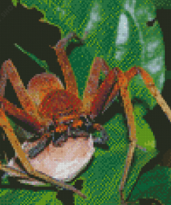 Huntsman Spider Insect With Egg Sack Diamond Paintings