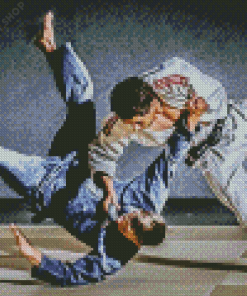 Jiu Jitsu Sport Diamond Paintings
