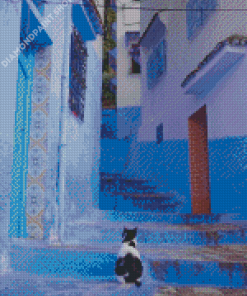 Moroccan Cat Diamond Paintings