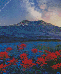 Mt St Helens With Red Poppies Diamond Paintings