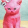 Pink Cat Diamond Paintings