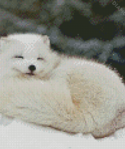 Sleepy Arctic Fox Diamond Paintings
