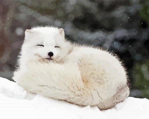 Sleepy Arctic Fox Diamond Paintings