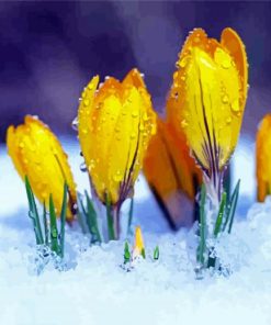 Yellow Spring Flower In Snow Diamond Paintings